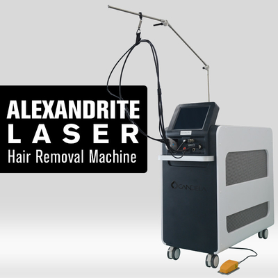Gentle Alexandrite Laser Hair Removal Machine Permanent Painless 4000W